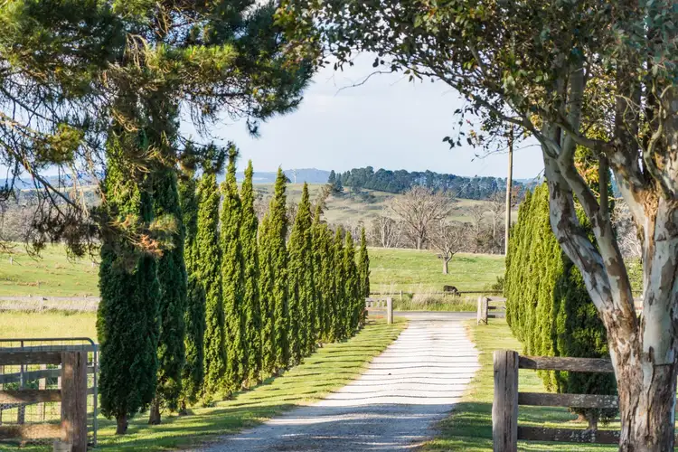 Fourth view of Homely rural property listing, 2970 Canyonleigh Road, Canyonleigh NSW 2577