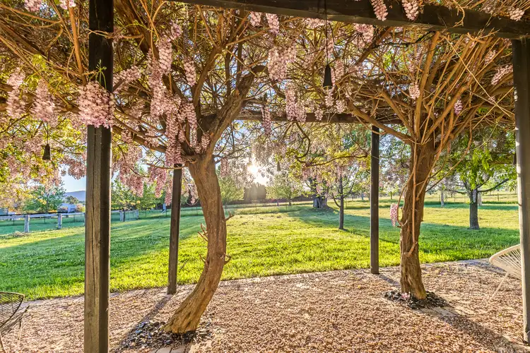 Fifth view of Homely rural property listing, 229 Melrose Road, Mudgee NSW 2850