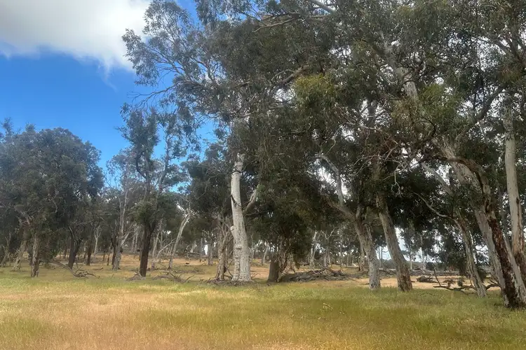 Sixth view of Homely rural property listing, Lot 2 Capercup North Road, Darkan WA 6392