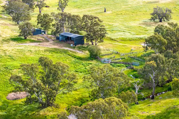 Third view of Homely rural property listing, 312 Collins Road, Tungkillo SA 5236