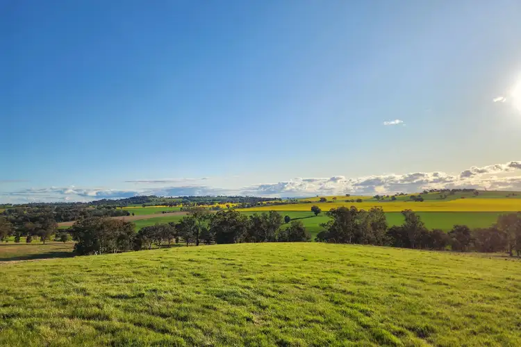 Lot 9 Willowvale Road, Cowra NSW 2794