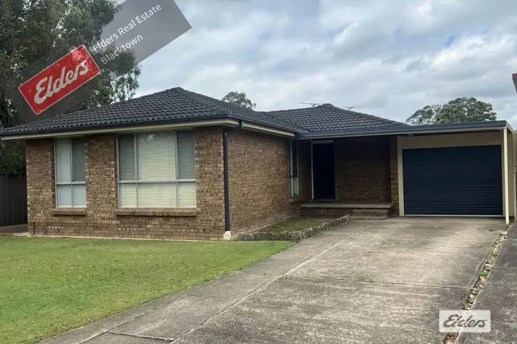 13 Tulip Place, Quakers Hill NSW 2763