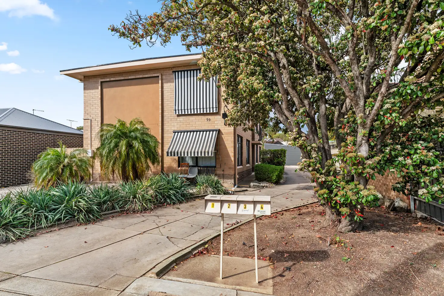 Main view of Homely unit listing, 4/59 Beauchamp Street, Kurralta Park SA 5037