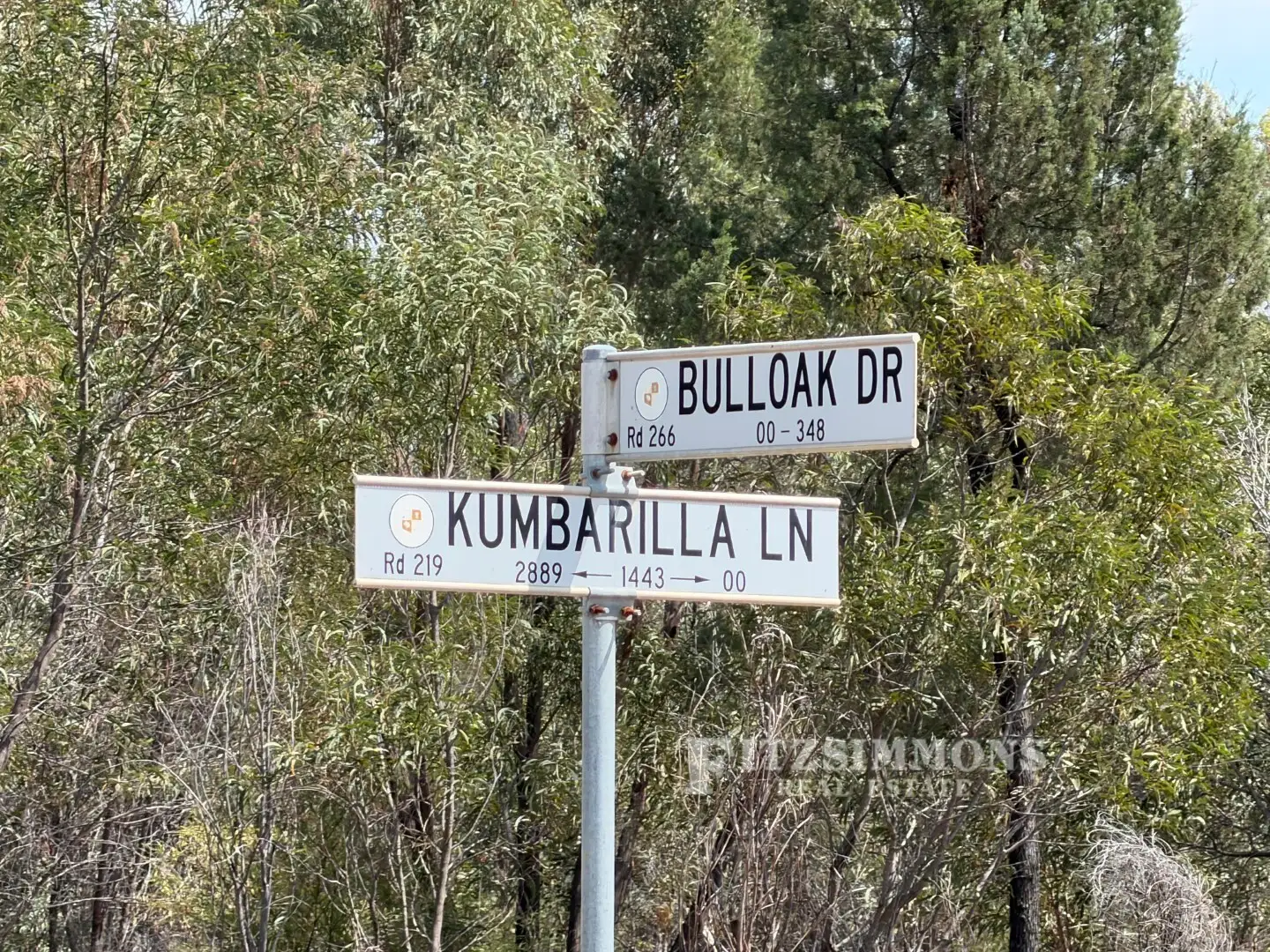 Main view of Homely rural property listing, LOT 25 Bulloak Drive, Kumbarilla QLD 4405