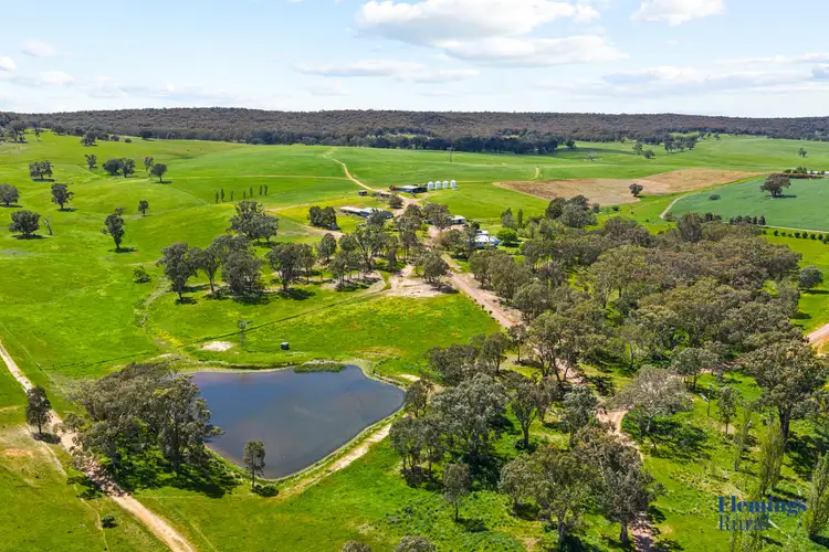 105 Peakview Road, Road, Young NSW 2594