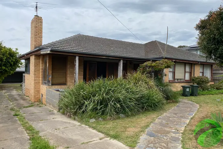 43 Alameda Avenue, Mornington VIC 3931