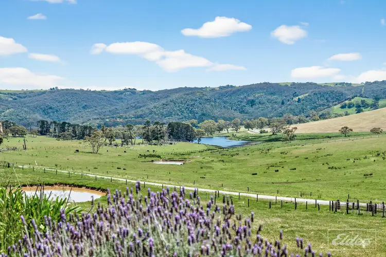 Fifth view of Homely rural property listing, 31 Polwarth Drive, Inman Valley SA 5211