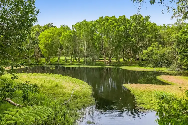 Fifth view of Homely house listing, 60 Brushbox Drive, Mullumbimby NSW 2482