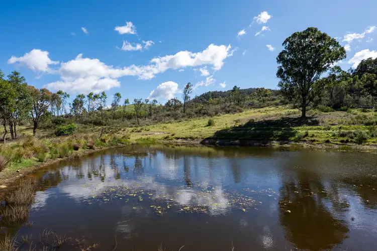 Sixth view of Homely rural property listing, 1883 Queens Pinch Road, Mudgee NSW 2850