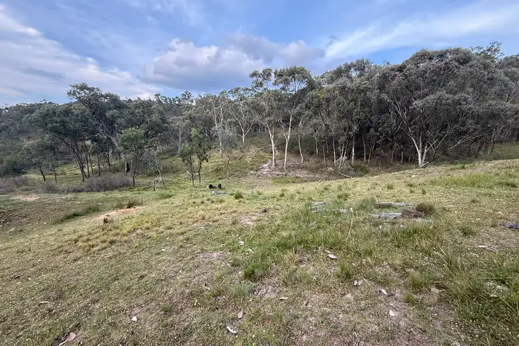 Seventh view of Homely rural property listing, 1883 Queens Pinch Road, Mudgee NSW 2850