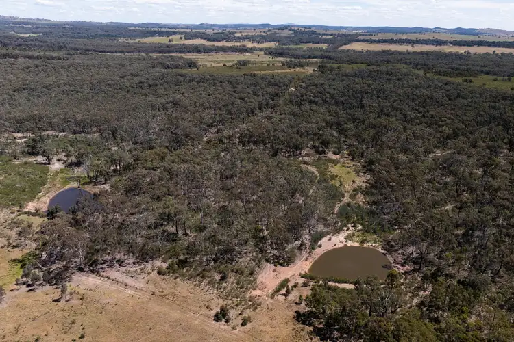 Fourth view of Homely rural property listing, 1375 Upper Laheys Creek Road, Dunedoo NSW 2844