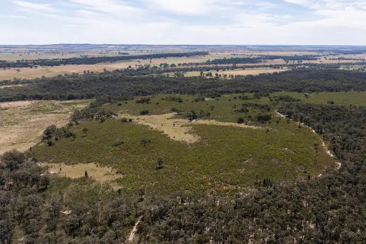 Fifth view of Homely rural property listing, 1375 Upper Laheys Creek Road, Dunedoo NSW 2844