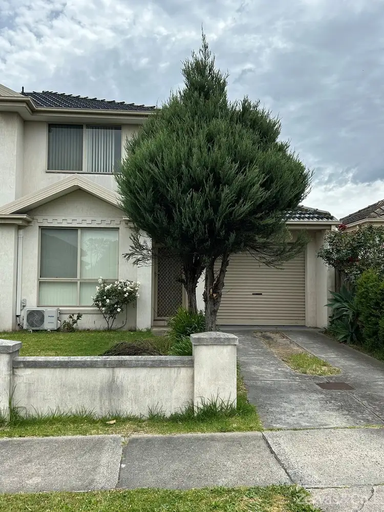 1/31 Panorama Street, Clayton VIC 3168