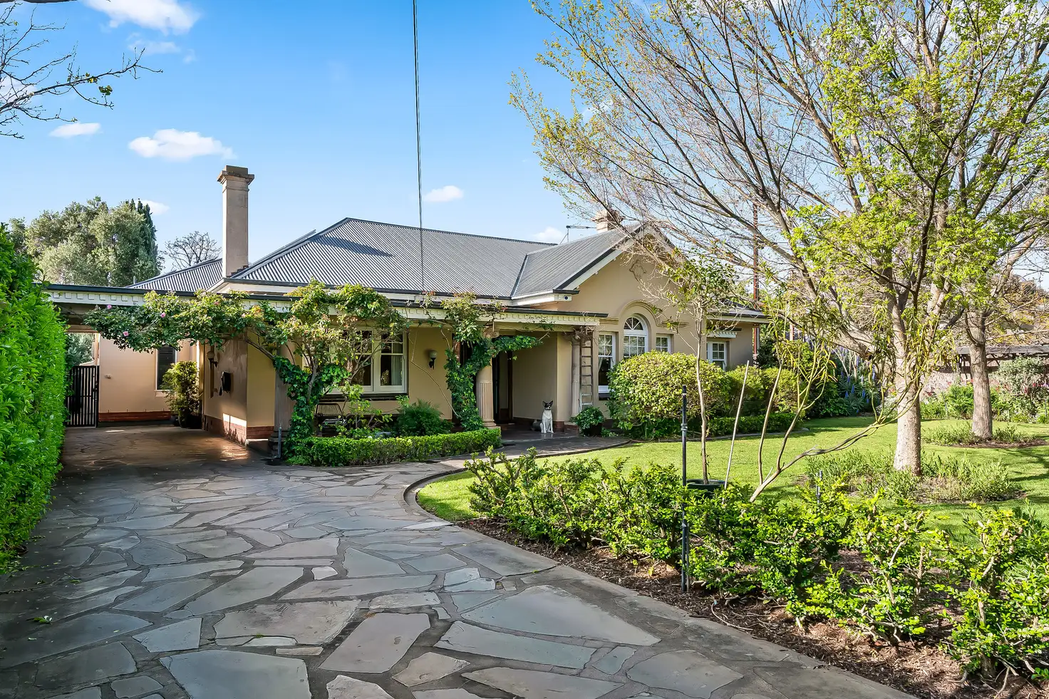 Main view of Homely house listing, 2 Andrew Avenue, Millswood SA 5034