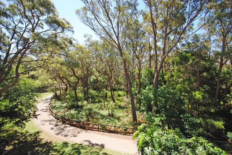 8/26 Richmond Avenue, Dee Why NSW 2099