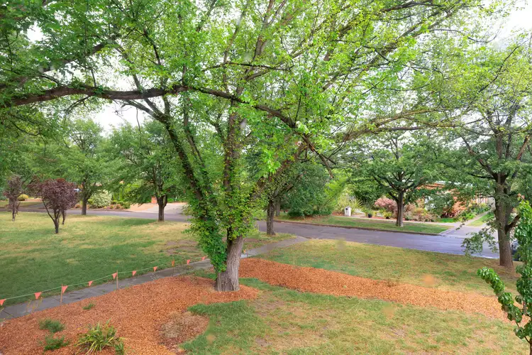 Third view of Homely unit listing, 37/8 Correa Street, O'connor ACT 2602