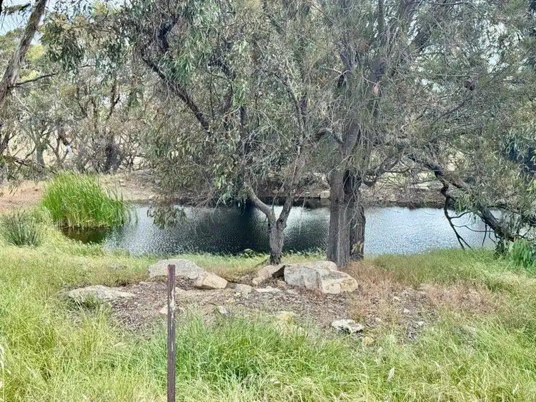 Lot 12 Young Road, Gwambygine WA 6302