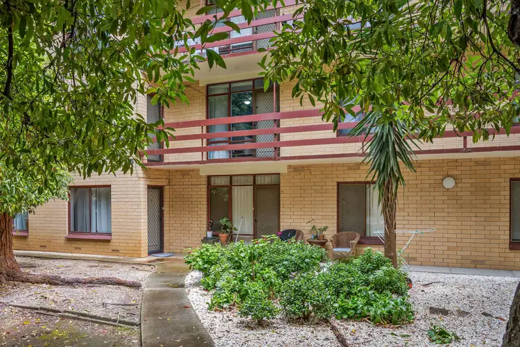 13/15 Wakefield Street, Kent Town SA 5067