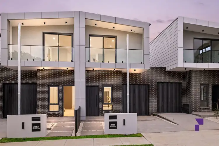 205B Wellington Road, Chester Hill NSW 2162