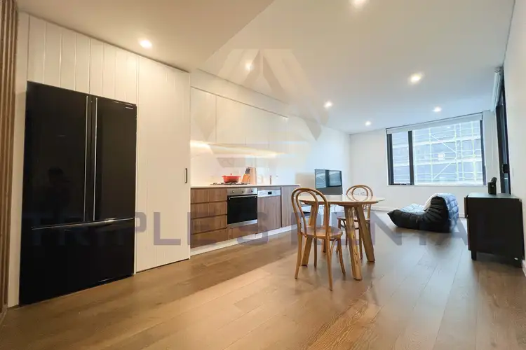 310/61 Ashmore Street, Erskineville NSW 2043