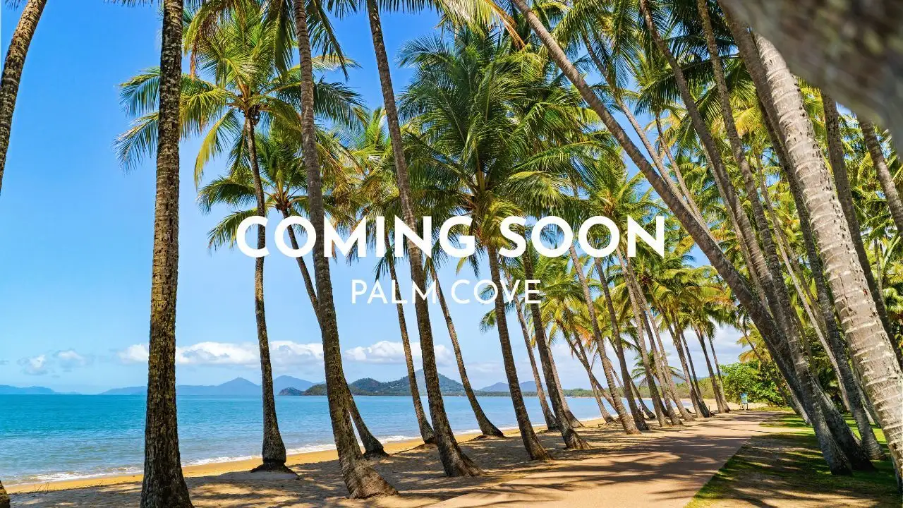 Main view of Homely unit listing, 311/305-341 Coral Coast Drive, Palm Cove QLD 4879