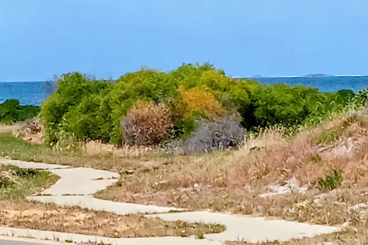 10 Craike Way, Green Head WA 6514