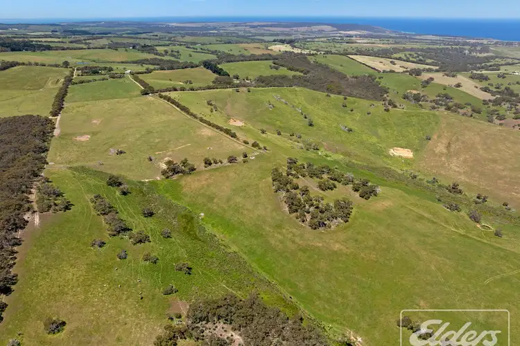 Second view of Homely rural property listing, 56 Mount Scrub Road, Willow Creek SA 5211