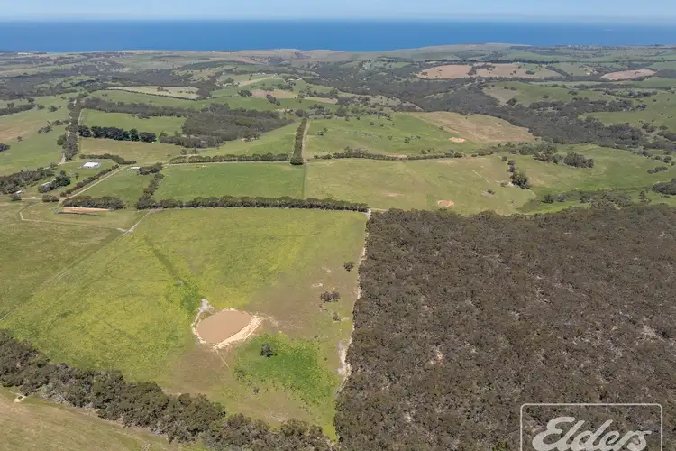 Fourth view of Homely rural property listing, 56 Mount Scrub Road, Willow Creek SA 5211