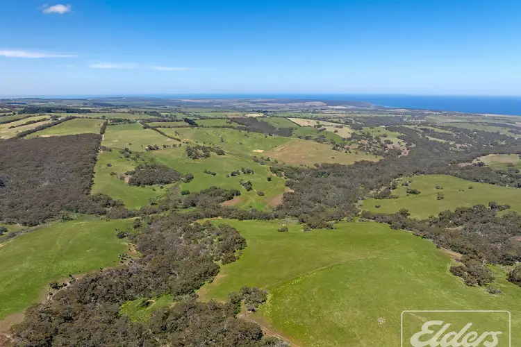 Fifth view of Homely rural property listing, 56 Mount Scrub Road, Willow Creek SA 5211