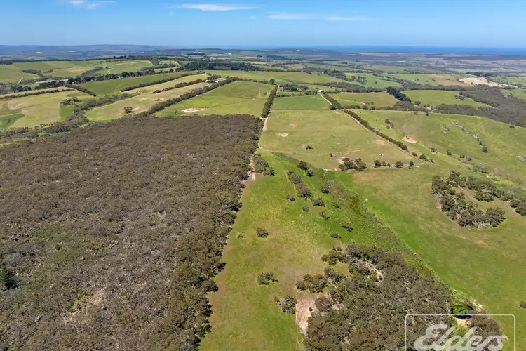 Sixth view of Homely rural property listing, 56 Mount Scrub Road, Willow Creek SA 5211