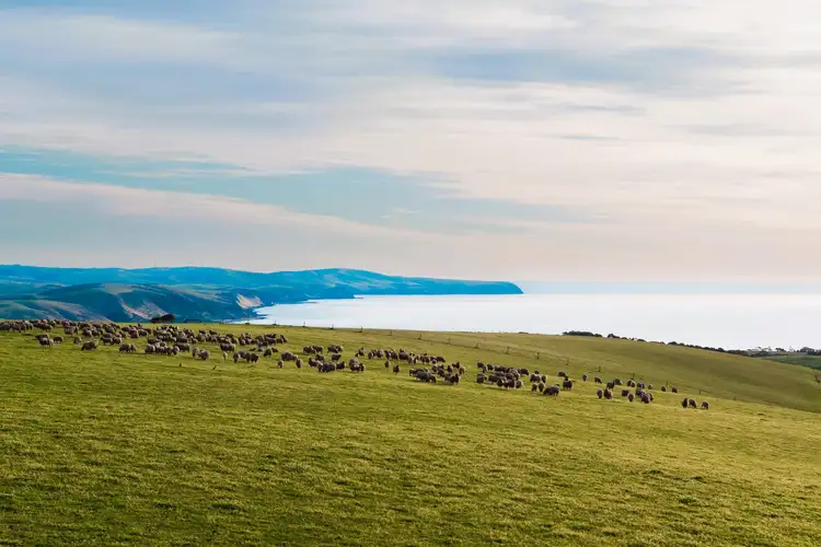 Lot 51 Smith Hill Road, Carrickalinga SA 5204