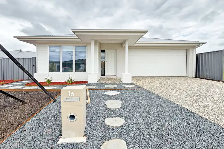 16 Rosea Street