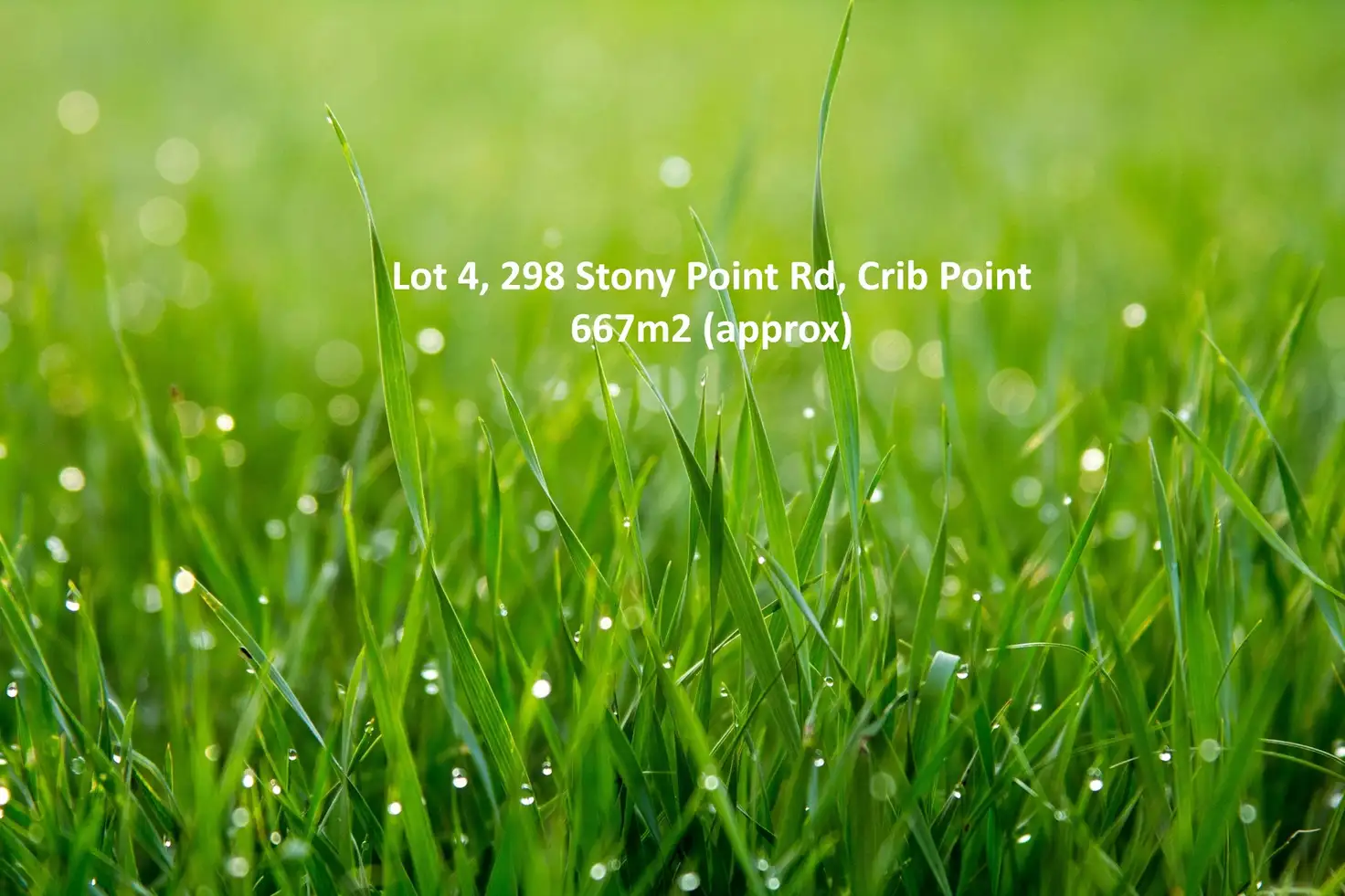 Main view of Homely land listing, LOT 4, 298 Stony Point Road, Crib Point VIC 3919