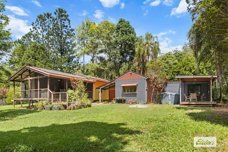 Second view of Homely rural property listing, 1984 Numinbah Road, Numinbah NSW 2484