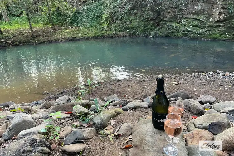 Third view of Homely rural property listing, 1984 Numinbah Road, Numinbah NSW 2484