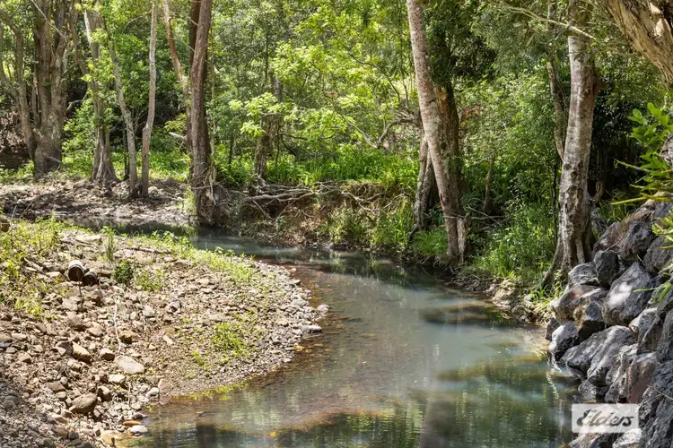 Fourth view of Homely rural property listing, 1984 Numinbah Road, Numinbah NSW 2484