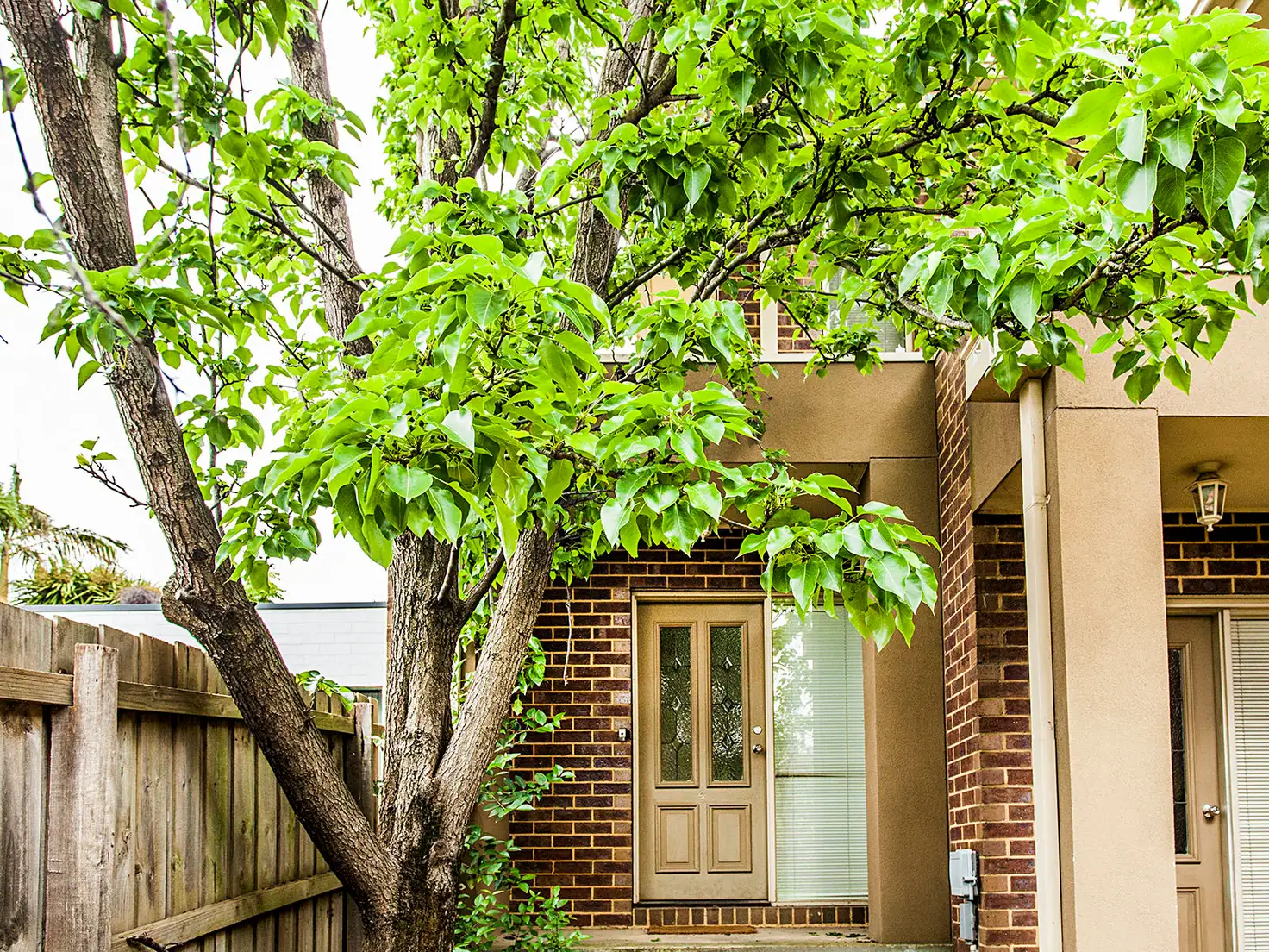 Main view of Homely unit listing, 4/4 Minna Street, Blackburn VIC 3130