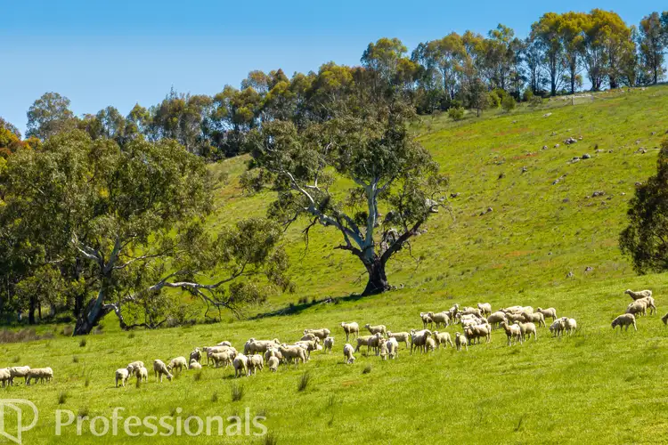 Sixth view of Homely house listing, 94 Emu Swamp Road, Orange NSW 2800