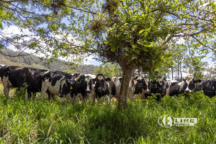 Fourth view of Homely rural property listing, 27 Scrubby Creek Road, Conondale QLD 4552
