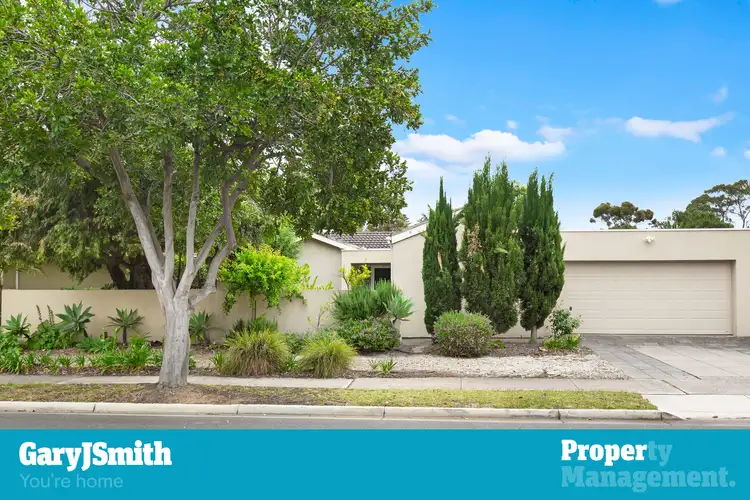 24 St Andrews Crescent, Novar Gardens SA 5040