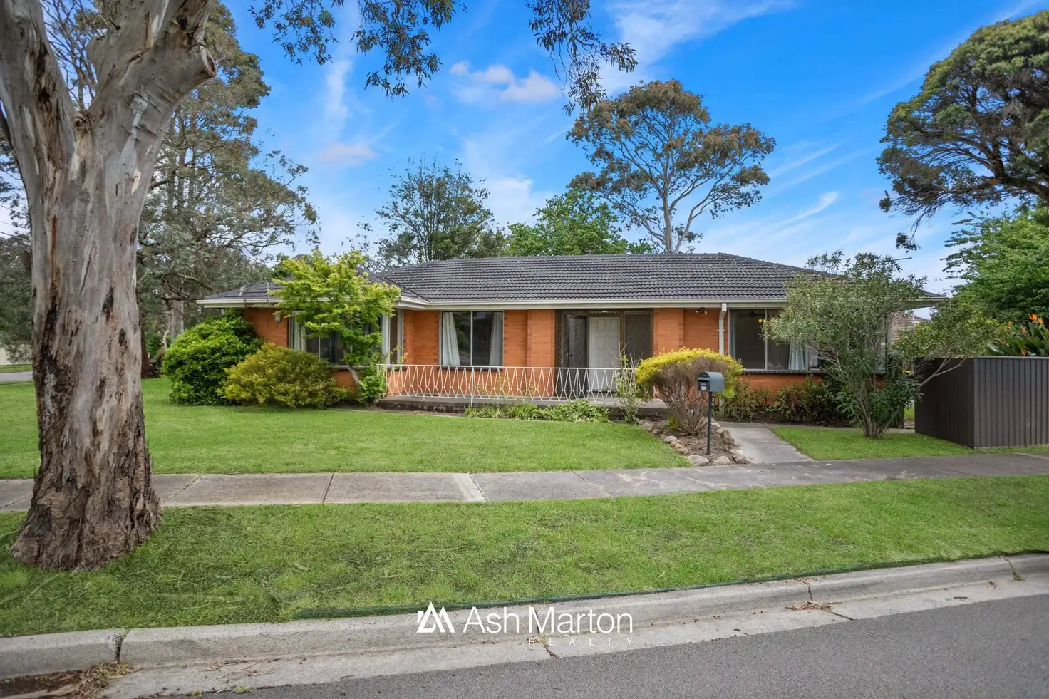 Main view of Homely house listing, 24 Berberis Crescent, Frankston VIC 3199