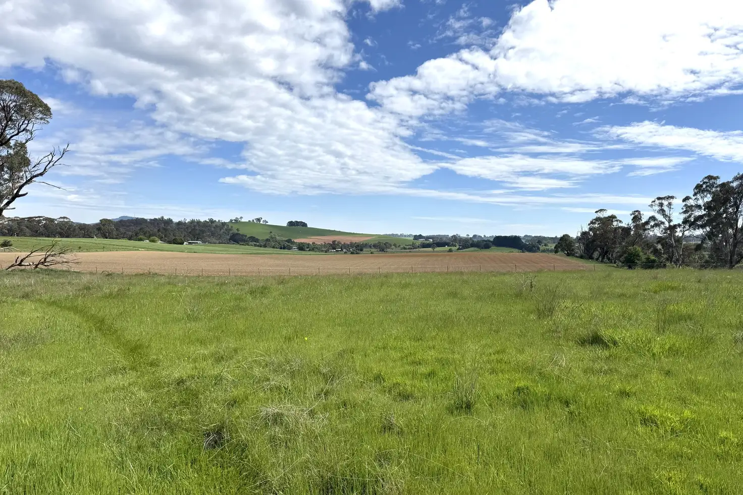 Main view of Homely rural property listing, 111 Teasdale Road, Neville NSW 2799