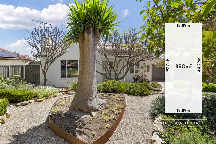 3 Jackson Terrace, Enfield SA 5085