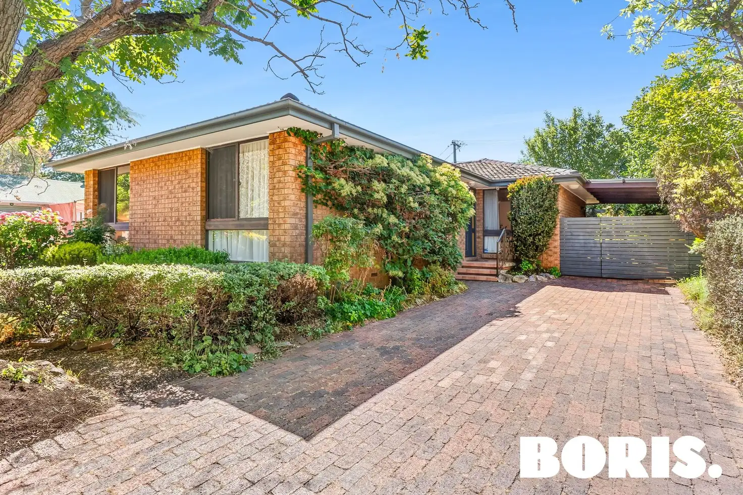 Main view of Homely house listing, 8 Nimbin Street, Narrabundah ACT 2604