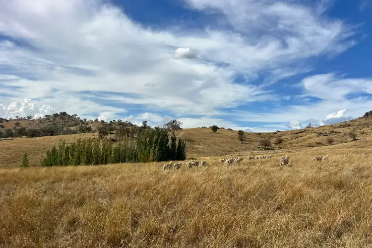 Lot 1 Mount Mcdonald Road