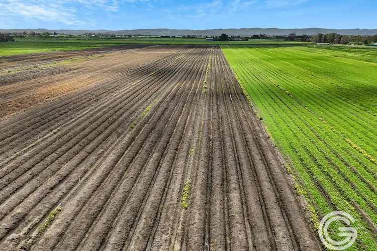 Fifth view of Homely land listing, 1485 Koo Wee Rup-Longwarry Road, Catani VIC 3981