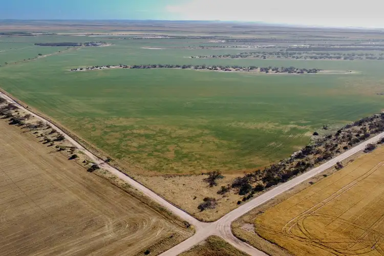 Second view of Homely rural property listing, 177 Taragoro Road, Rudall SA 5642