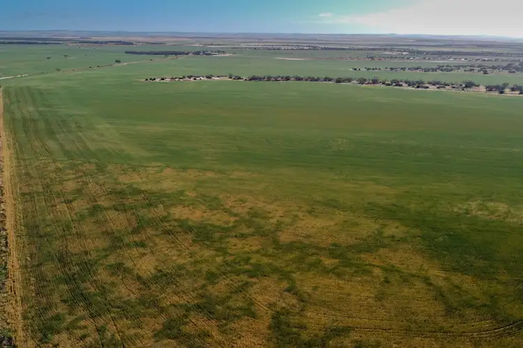 Fourth view of Homely rural property listing, 177 Taragoro Road, Rudall SA 5642