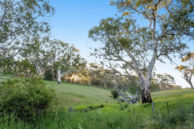 LOT 1212, 1212 Pound Road, Macclesfield SA 5153