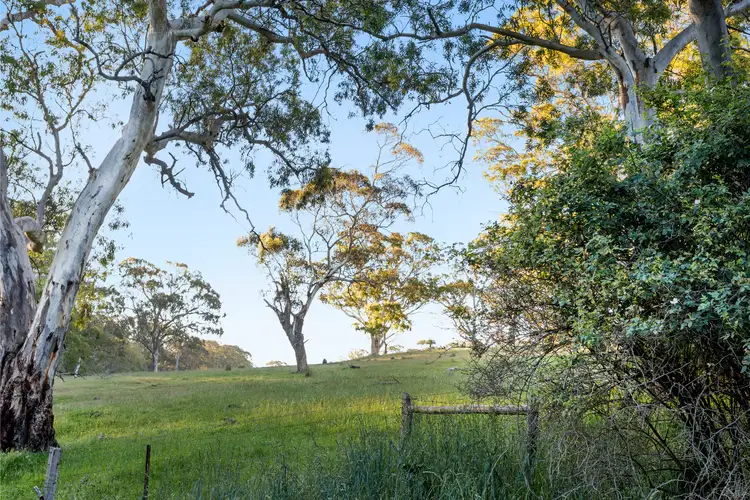 Fourth view of Homely land listing, LOT 1212, 1212 Pound Road, Macclesfield SA 5153